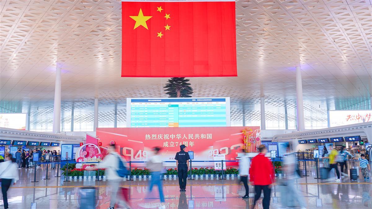 龙虎分析软件鲨鱼二代